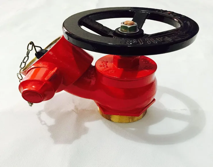 Landing Valves